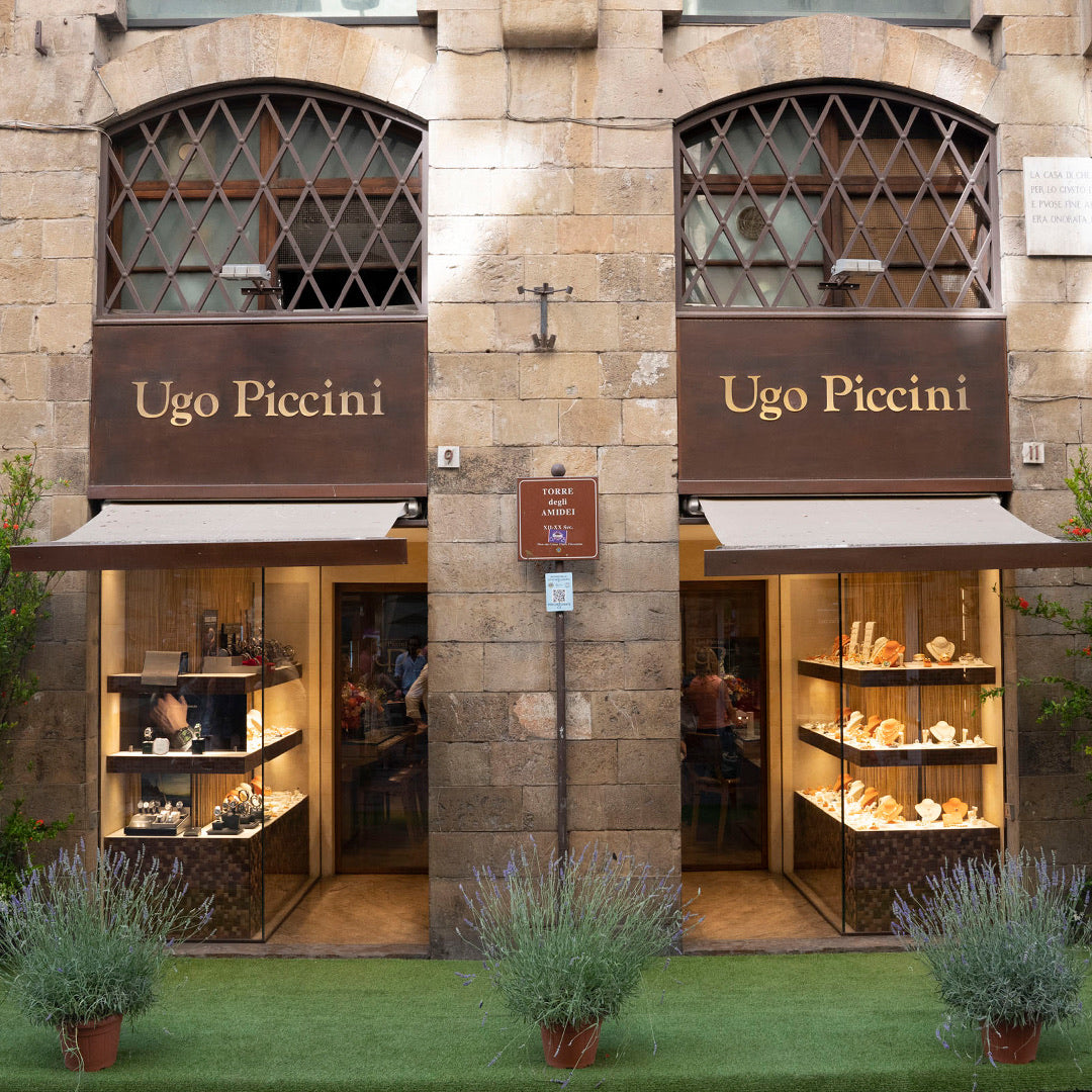 Piccini Ugo & Figlio Spa